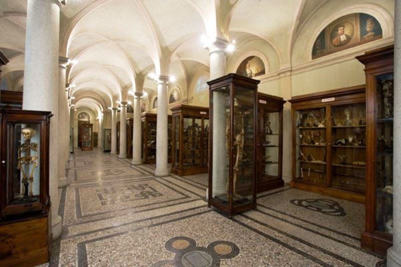 Sala principale del Museo di Anatomia. Photo by www.comune.torino.it