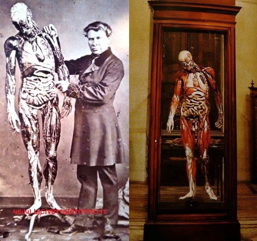 A sinistra: Auzoux, con un'espressione piuttosto arcigna, accompagnato da uno dei suoi "uomini", molto simile a quello di Torino (a destra, in un'immagine tratta dalla guida del Museo di Anatomia).