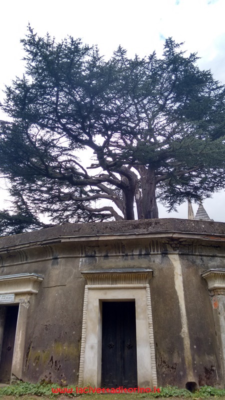 Il Circle of Lebanon. Vi si arriva dall’Egyptian Avenue. Intorno a un enorme cedro del Libano, Geary dispose a cerchio 20 camere sepolcrali. Ne furono poi costruite altre 16 a formare un secondo cerchio intorno al primo. Una di queste ultime fu usata come colombario per accogliere resti cremati.