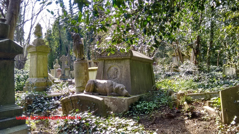 Il fedele amico di Thomas Sawyer. Il famoso pugile morì nel 1865 e il suo cane Lion fu posto da solo su una carrozza a capo del corteo funebre che accompagnò il feretro di Sawyer al cimitero.