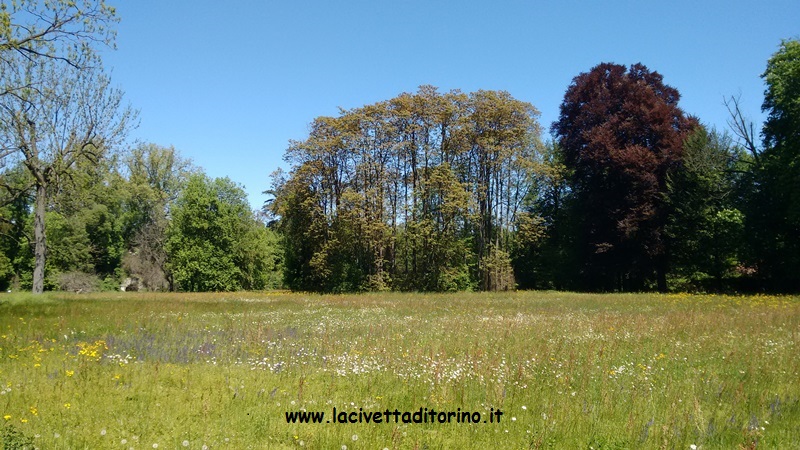 Parco del Castello di Racconigi