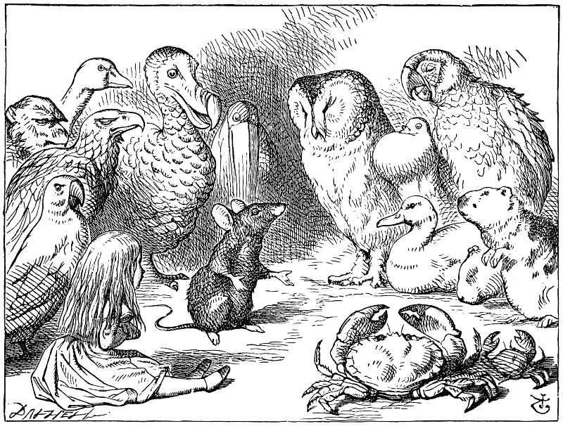 Illustrazione di John Tenniel per le "Avventure di Alice nel paese delle meraviglie", 1872
