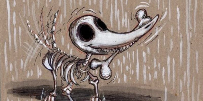 cane-scheletro